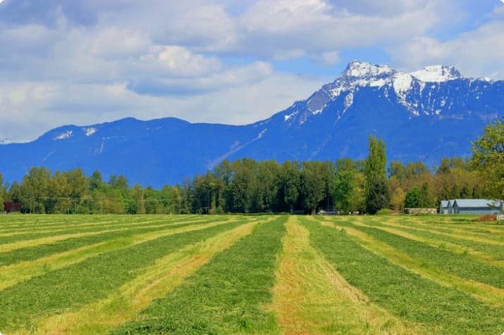 Farmland and mountains in the Fraser Valley